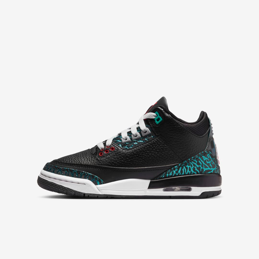 Men's Air Jordan 3 Moto Shoes