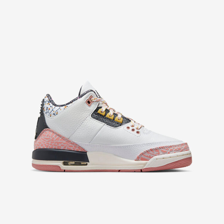 Men's Nike Air Jordan 3 Red Stardust Shoes