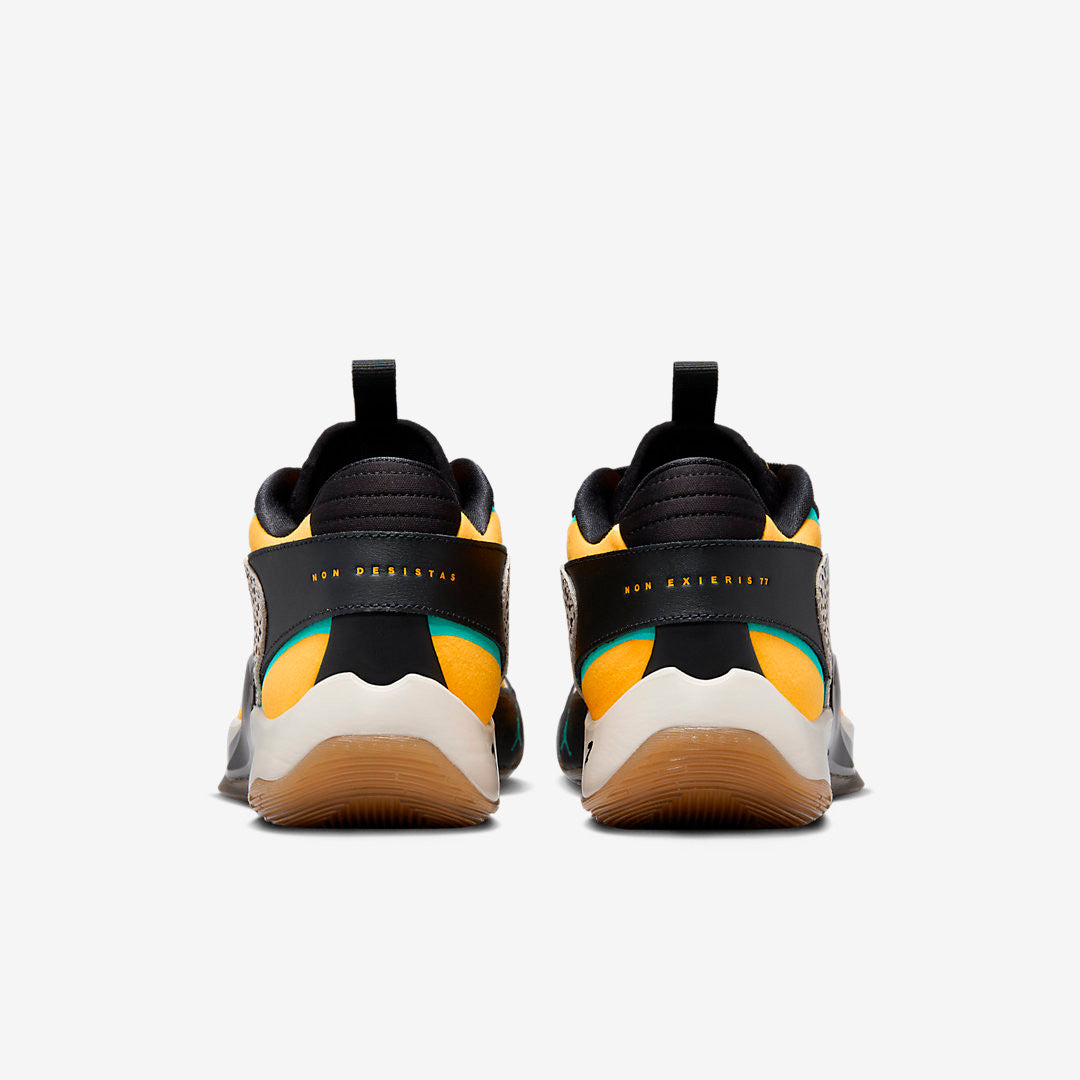 Men's Air Jordan Luka 2 The Pitch Shoes