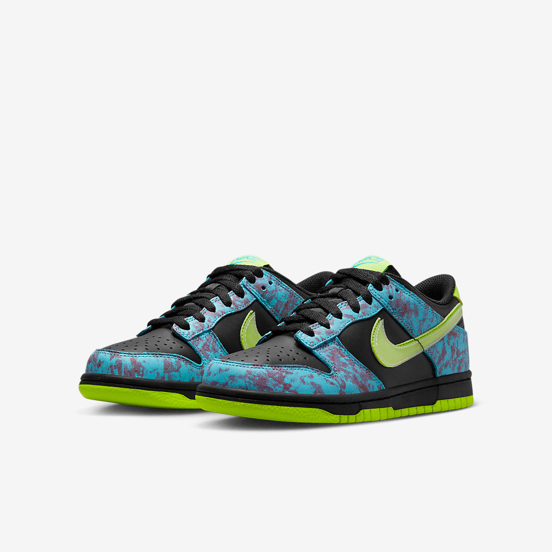 Men's Nike Dunk Low Acid Wash Shoes