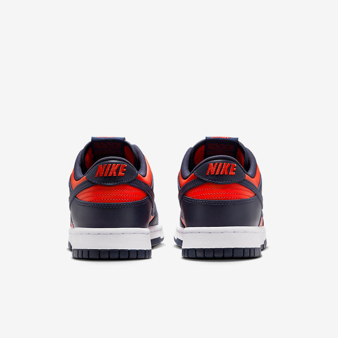 Men's Nike Dunk Low City Attack Shoes