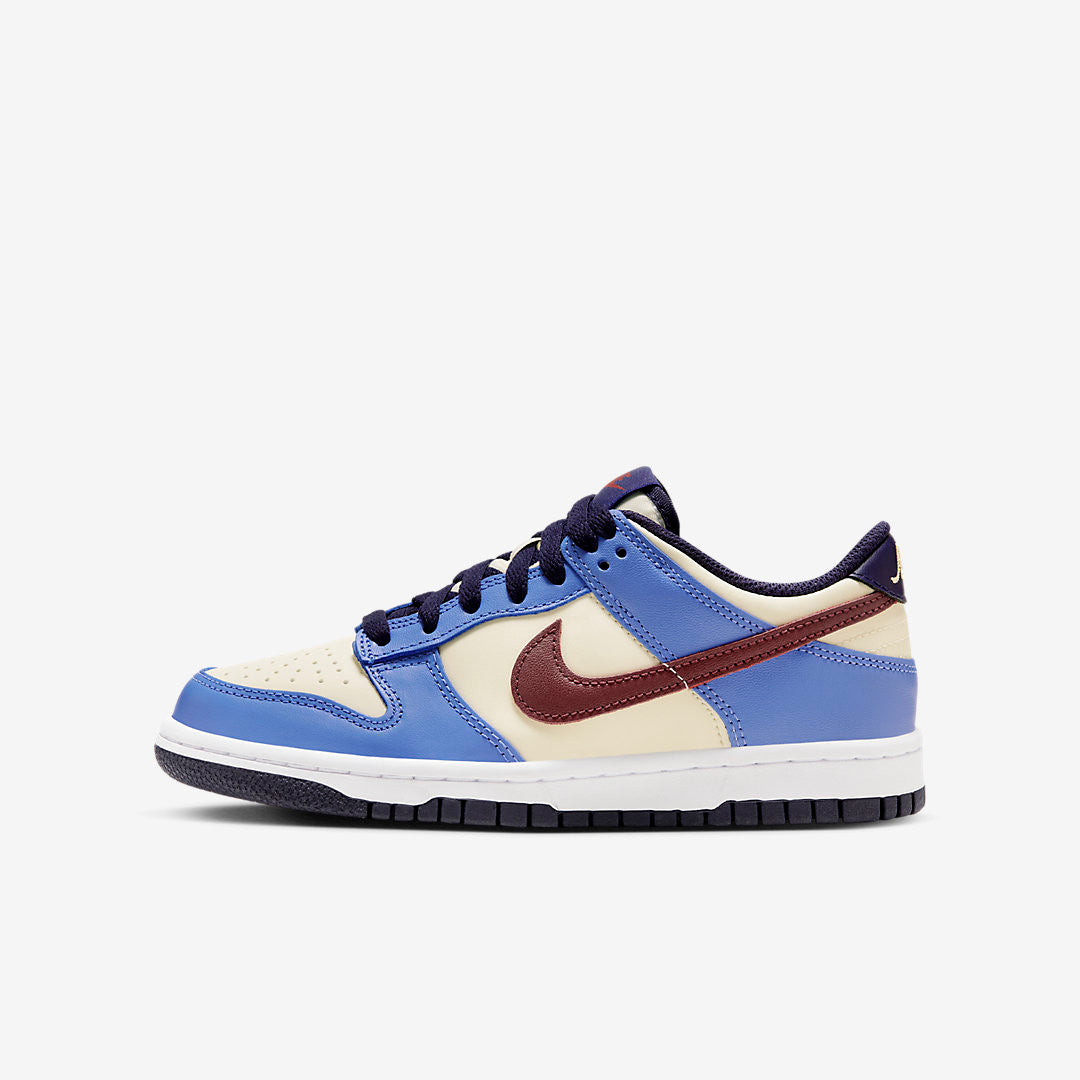 Men's Nike Dunk Low From Nike To You Shoes