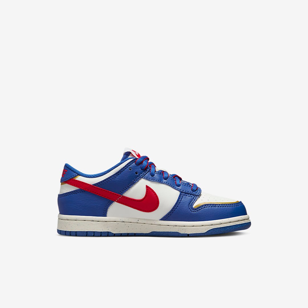 Men's Nike Dunk Low 'Superhero' Shoes