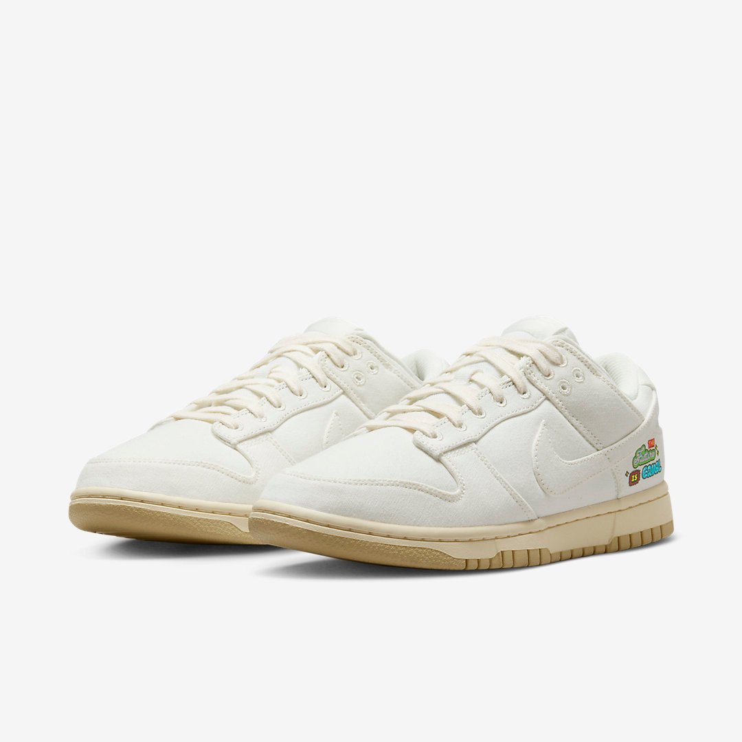 Men's Nike Dunk Low 'The Future is Equal' Shoes