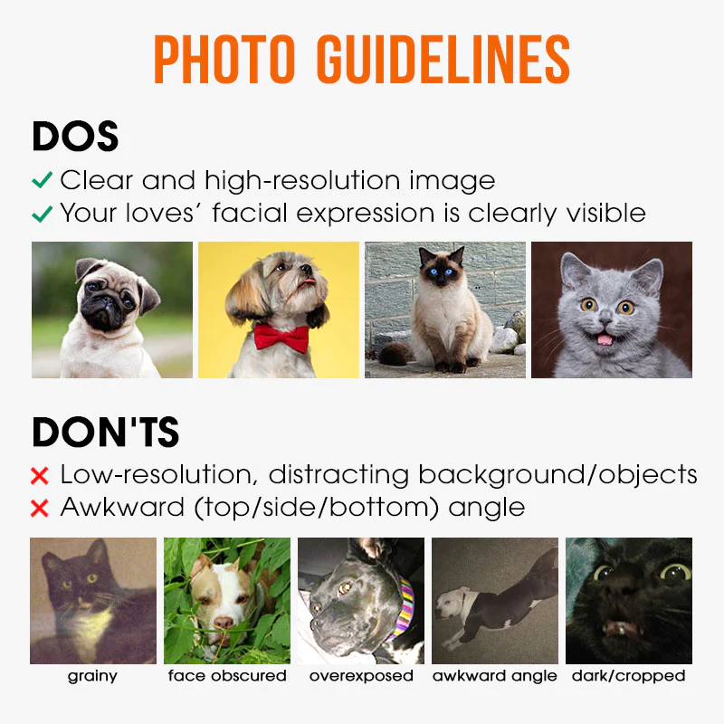 Custom Eras Tour Light Shirt, Personalized Shirt, Gift For Pet Lovers