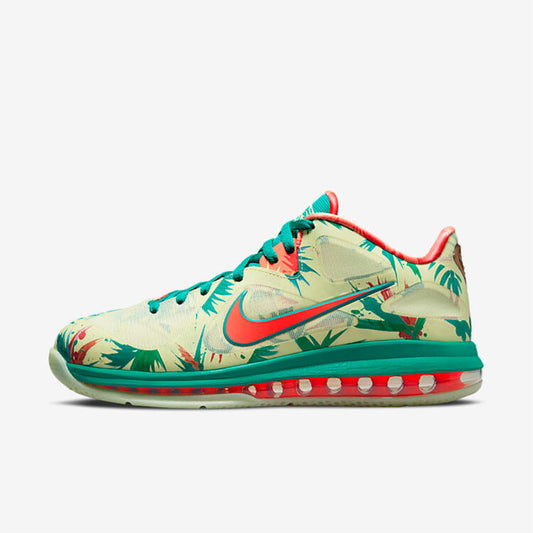 Men's Nike Lebron 9 LeBronold Palmer Shoes