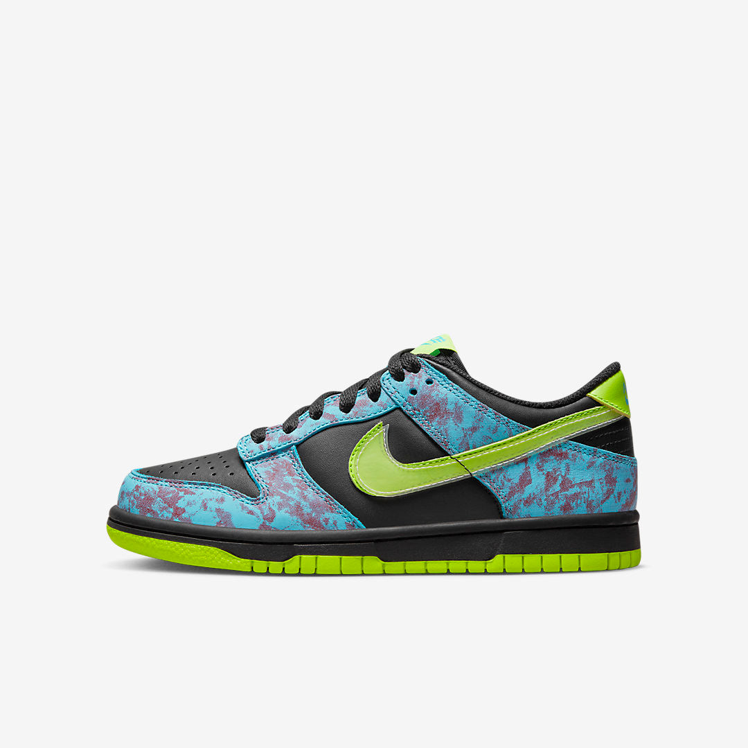 Men's Nike Dunk Low Acid Wash Shoes
