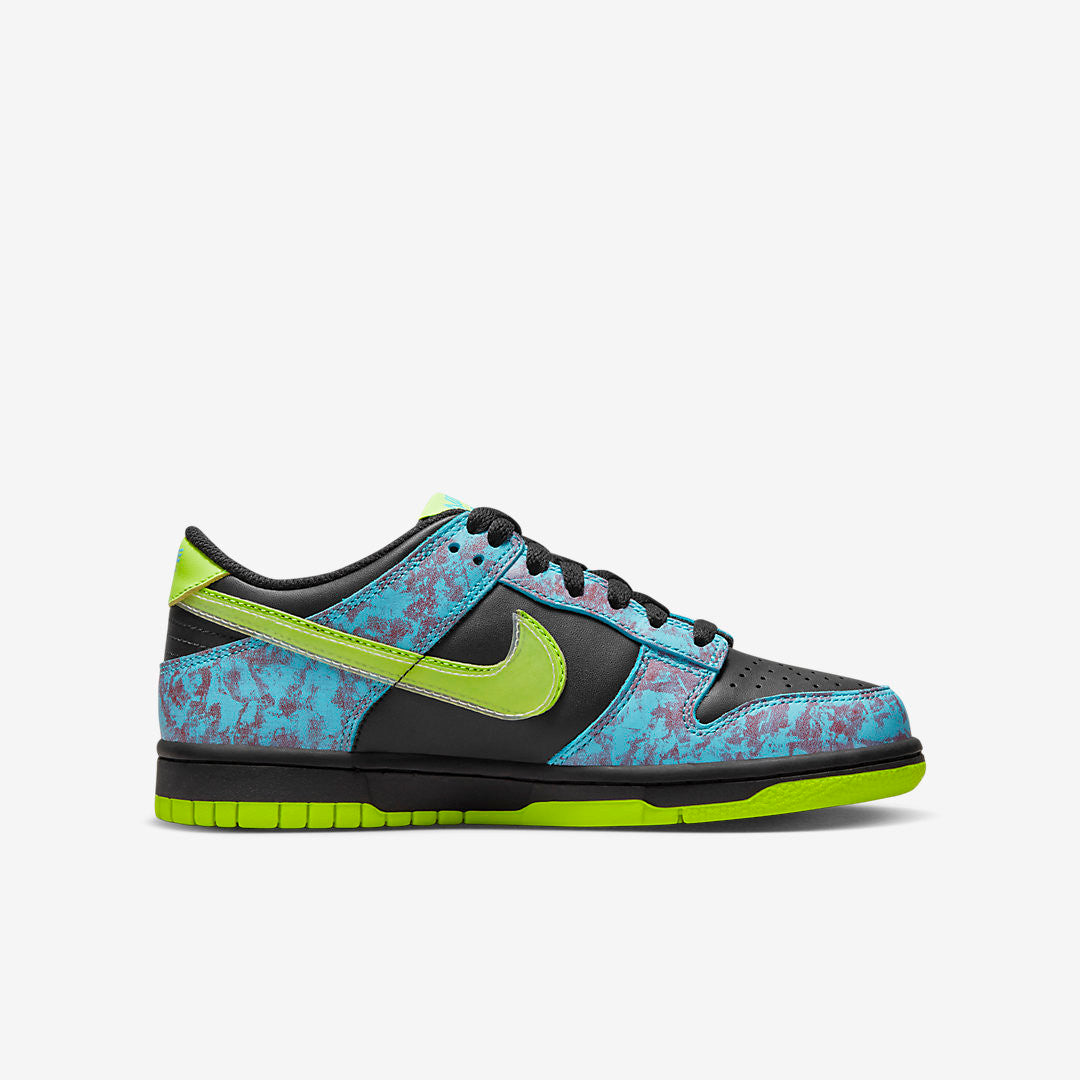 Men's Nike Dunk Low Acid Wash Shoes