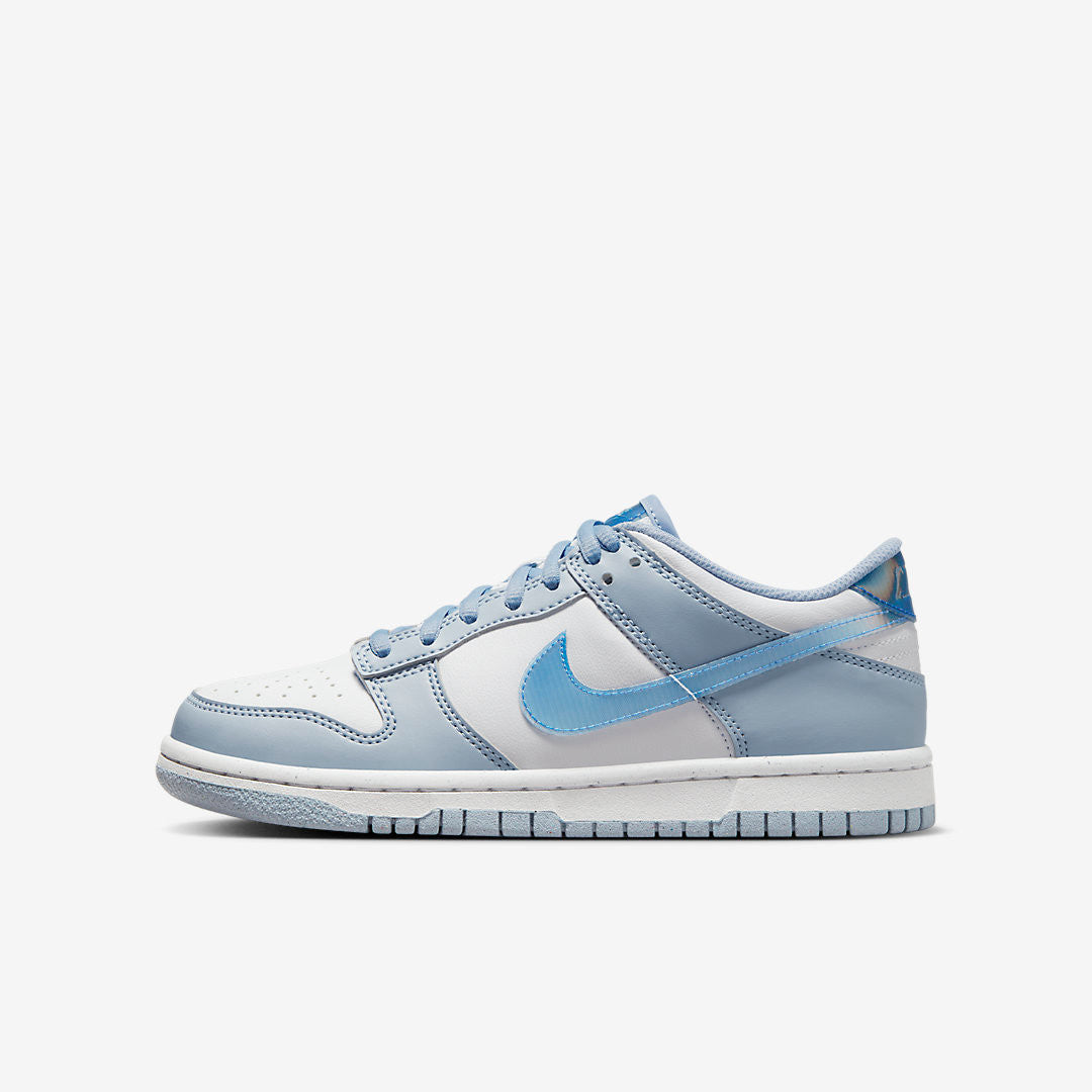 Men's Nike Dunk Low Blue Iridescent Shoes