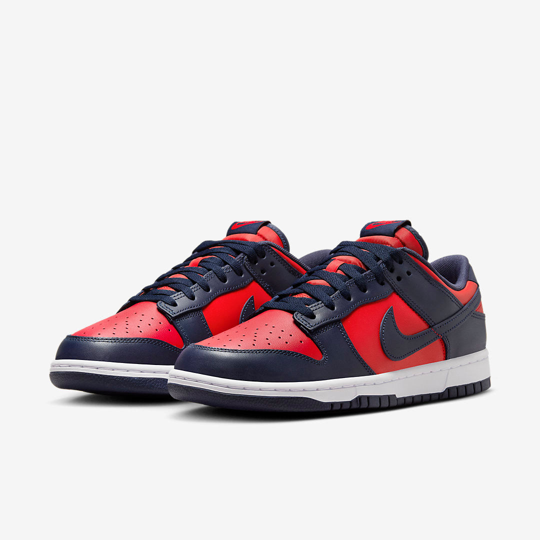 Men's Nike Dunk Low City Attack Shoes