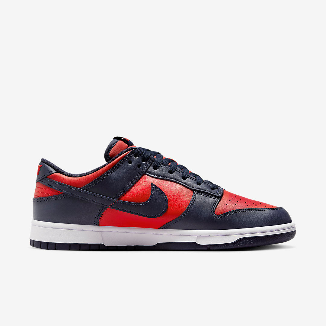 Men's Nike Dunk Low City Attack Shoes
