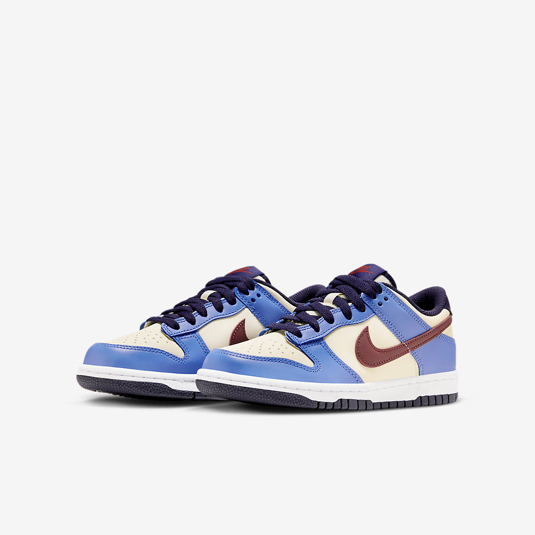 Men's Nike Dunk Low From Nike To You Shoes