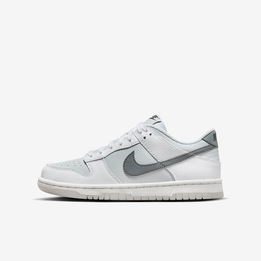 Men's Nike Dunk Low 'Reflective Swoosh' Shoes