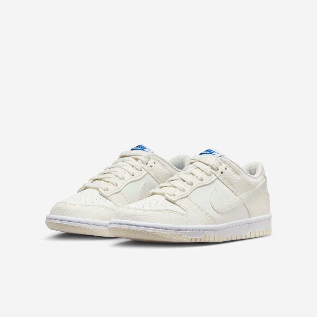 Men's Nike Dunk Low 'Sail Blue' Shoes